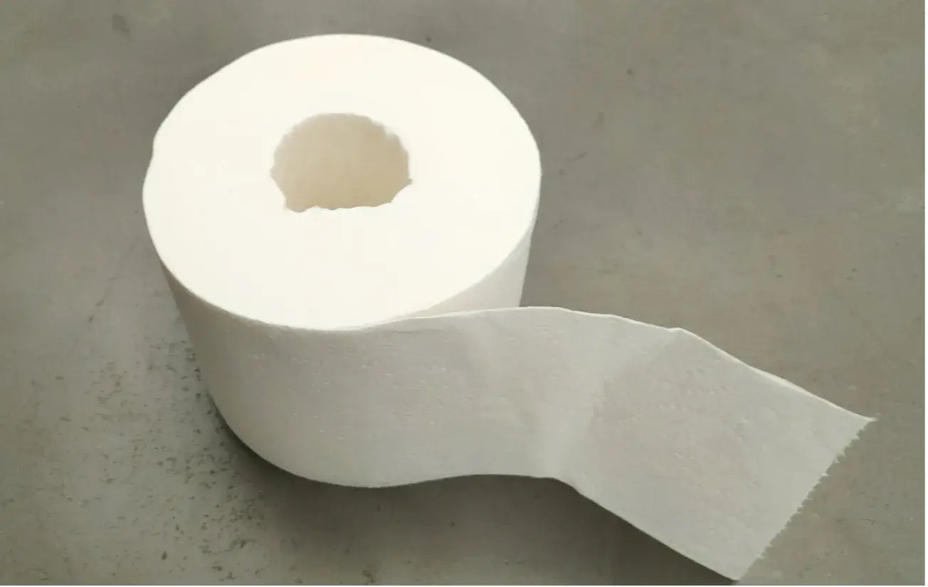 toilet1