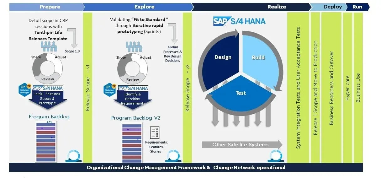 Case Study: A SAP Transformation in a Typical CDMO Setting
