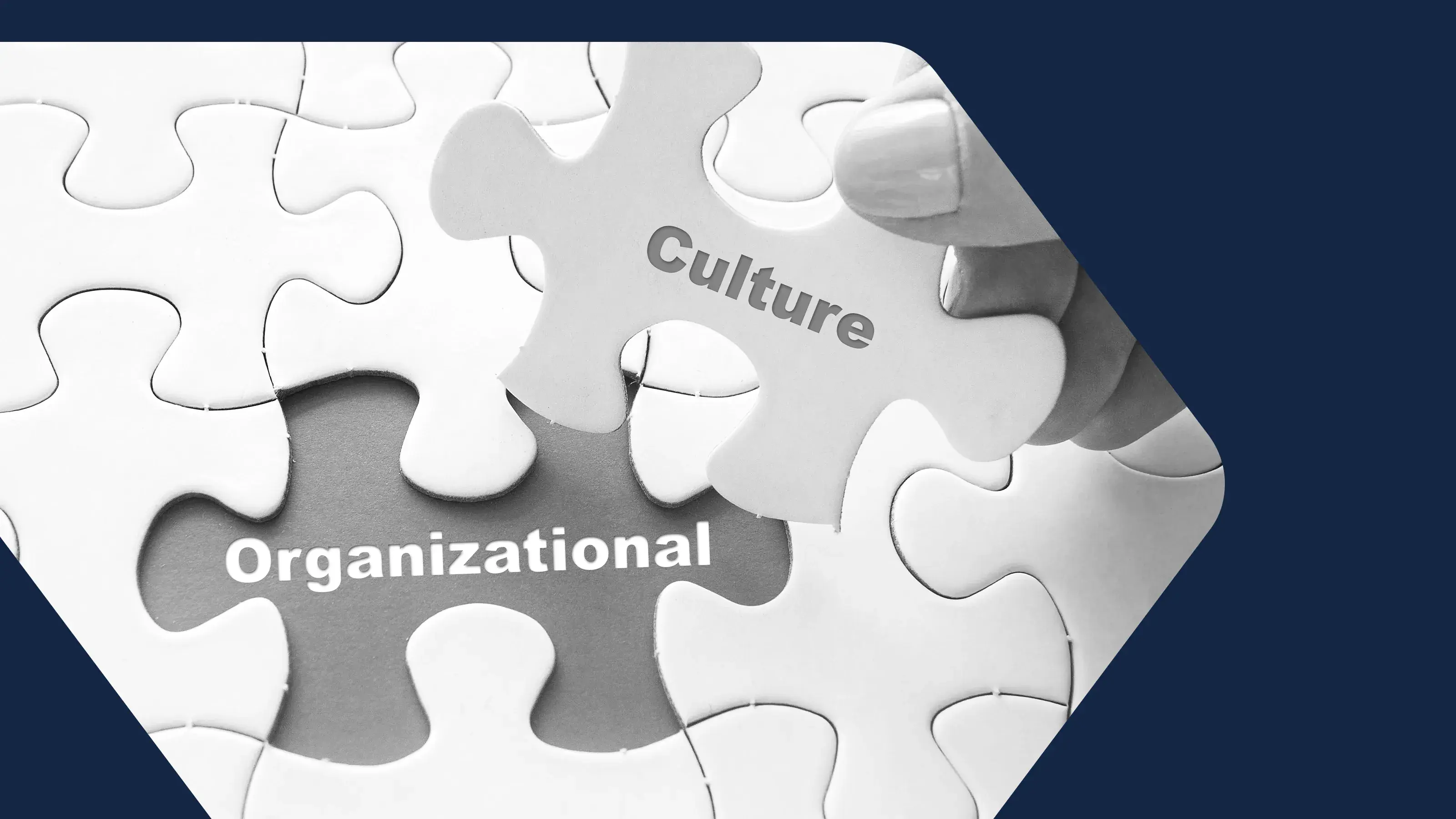 Featured image: Ignore Organizational Culture at your Peril